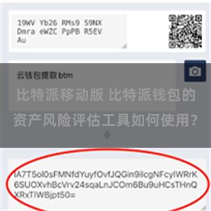 比特派移动版 比特派钱包的资产风险评估工具如何使用?