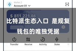 比特派生态入口 是规复钱包的唯独凭据