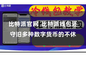 比特派官网 比特派钱包还守旧多种数字货币的不休