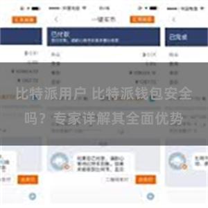 比特派用户 比特派钱包安全吗？专家详解其全面优势