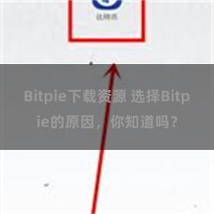 Bitpie下载资源 选择Bitpie的原因，你知道吗？