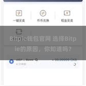 Bitpie钱包官网 选择Bitpie的原因，你知道吗？