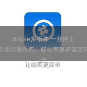 Bitpie多币种 一分钟上手比特派钱包，轻松管理多链资产