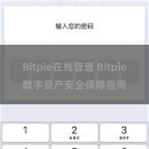 Bitpie在线管理 Bitpie数字资产安全保障指南