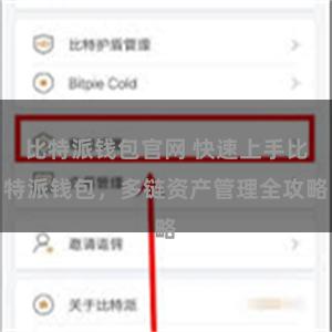 比特派钱包官网 快速上手比特派钱包，多链资产管理全攻略