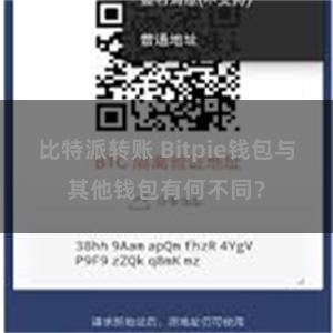 比特派转账 Bitpie钱包与其他钱包有何不同？