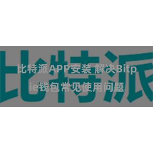 比特派APP安装 解决Bitpie钱包常见使用问题