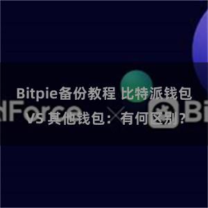 Bitpie备份教程 比特派钱包 VS 其他钱包：有何区别？