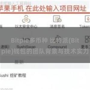 Bitpie多币种 比特派(Bitpie)钱包的团队背景与技术实力