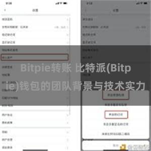 Bitpie转账 比特派(Bitpie)钱包的团队背景与技术实力