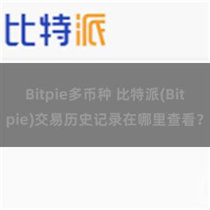 Bitpie多币种 比特派(Bitpie)交易历史记录在哪里查看？