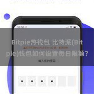 Bitpie热钱包 比特派(Bitpie)钱包如何设置每日限额？