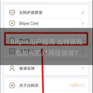 Bitpie用户指南 比特派钱包如何应对网络拥堵？