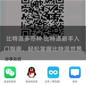比特派多币种 比特派新手入门指南，轻松掌握比特派世界