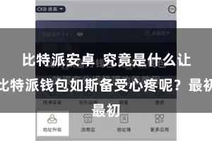 比特派安卓  究竟是什么让比特派钱包如斯备受心疼呢？最初